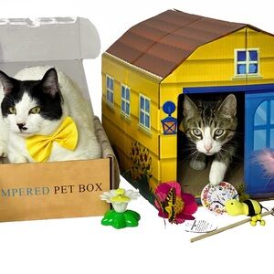 Pampered Pet Box - Cottage Cat House
